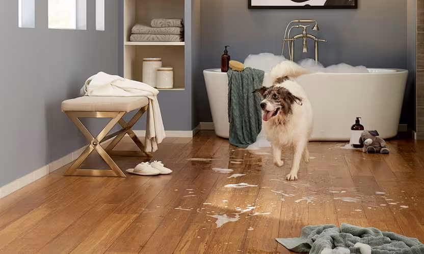Dog relaxing on pet-friendly flooring in Kansas City home - durable LVP for homes with pets