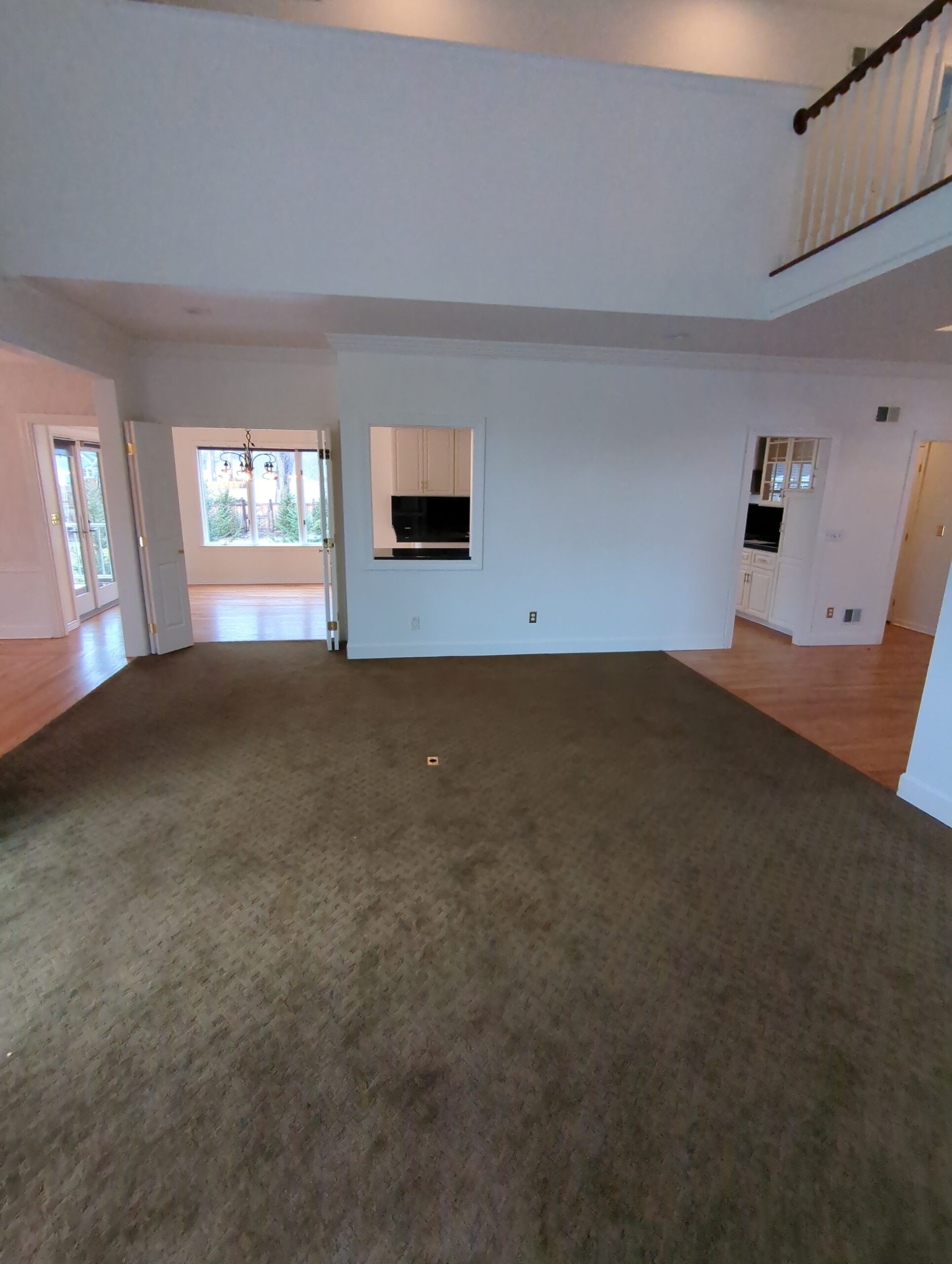 Green carpet living room before extending hardwood floor